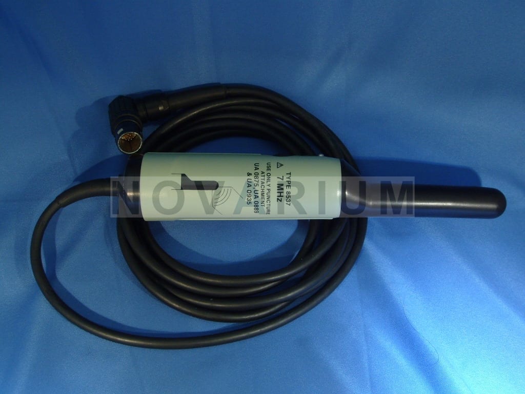 BK 8537.JPG