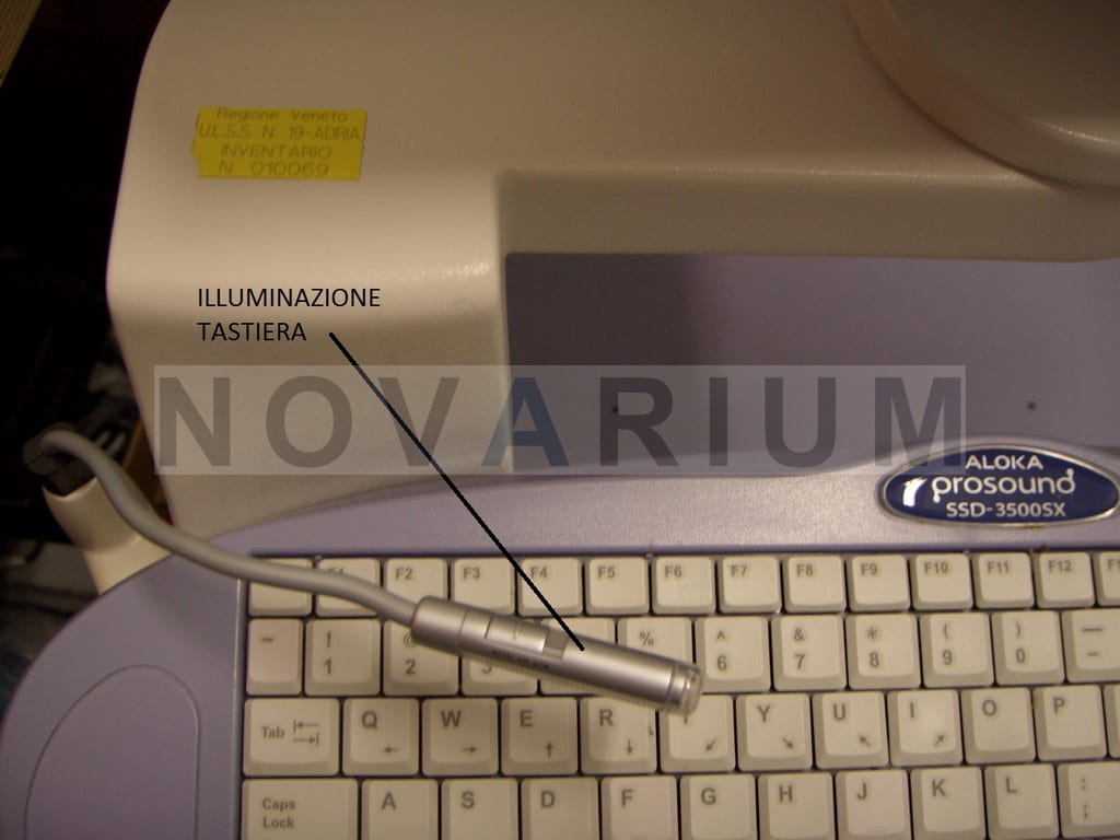 foto_aloka.jpg