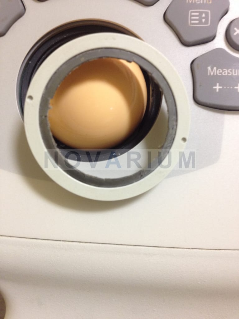 Trackball Philips Envisor C.JPG